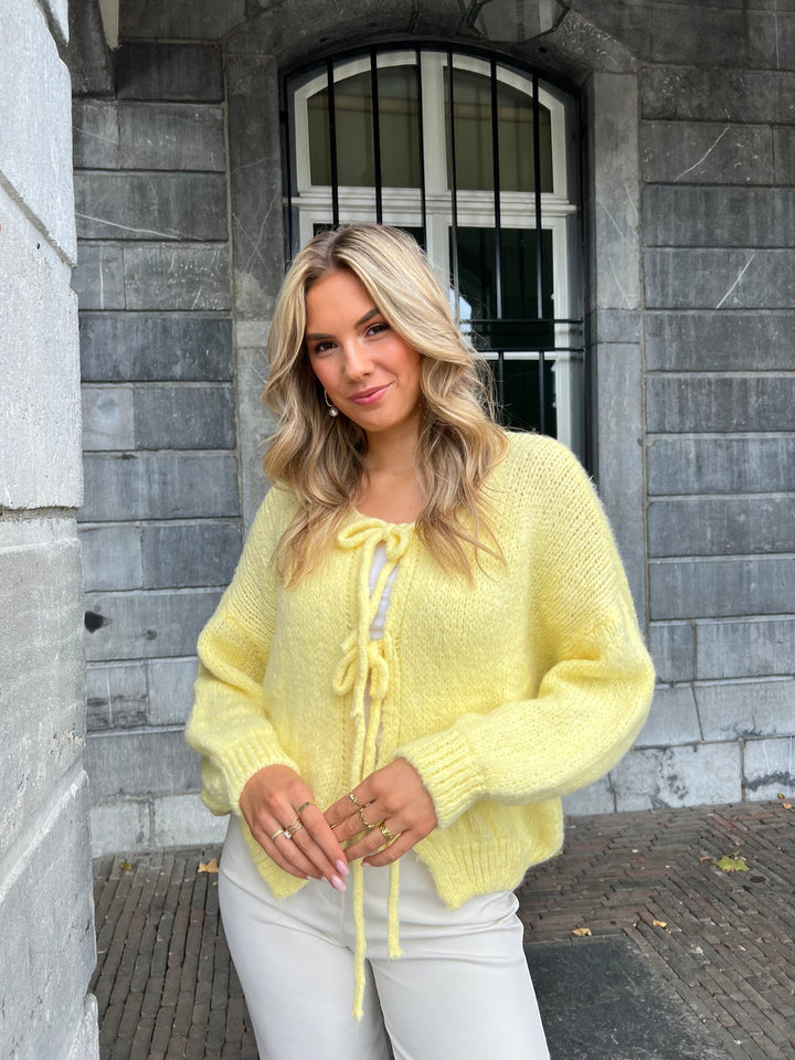 Lyse Paris – Cardigan d’Automne Élégant